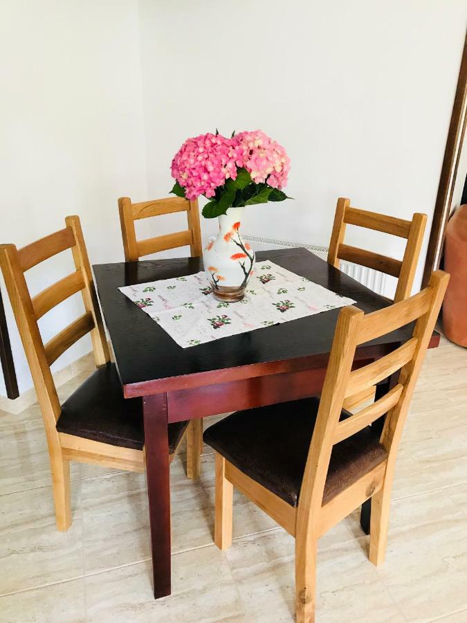 Casa Andra Hotel สลานิก-มอลโดวา ภายนอก รูปภาพ